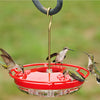 HummZinger HighView Mini Hummingbird Feeder - Momma's Home Store