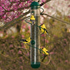 Spiral Tube Bird Feeder Green - Momma's Home Store