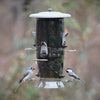 Abundance Tube Bird Feeder