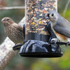 Onyx Clever Clean Bird Feeder 12 inch