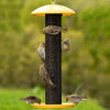 Yellow Straight Sided Finch Feeder