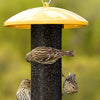 Yellow Straight Sided Finch Feeder
