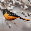 Oriole Songbird Tree Ornament