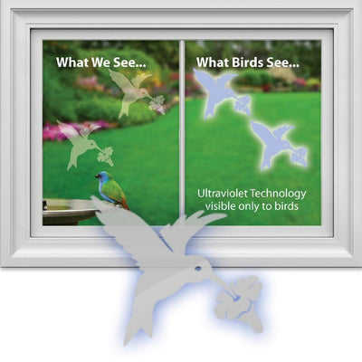 Hummingbird WindowAlert Decal 4 pack