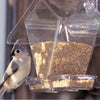 Window Cafe Seed Bird Feeder - Momma's Home Store