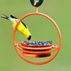 Mosaic Birds Hummble Bold Feeder