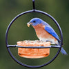 Mosaic Birds Hummble Bird Feeder
