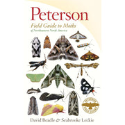 Peterson Field Guide Moths Northeastern NA