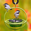 Mosaic Birds Hummble Bold Feeder