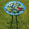 Songbirds Glass Bird Bath w/Stand