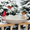 Deck-Mounted Heated Birdbath - Momma's Home Store