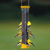 Nyjer Seed Feeder Yellow 15 inch