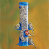 Jumbo Seed Songbird Feeder