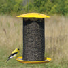 Mammoth Thistle Mesh Bird Feeder Yellow