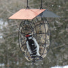 Suet & Seed Ball Bird Feeder