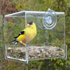 Clear View Mini Window Feeder