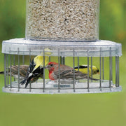 All Weather Feeder Cage Accessory - Momma's Home Store