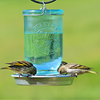Mason Jar Wild Bird Waterer