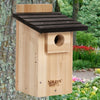 Bluebird Nesting Box Birdhouse w/Window