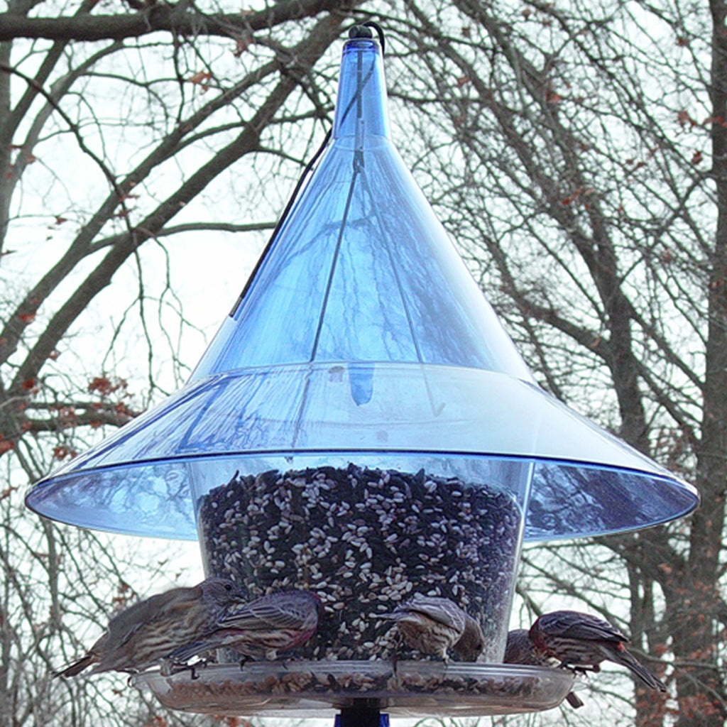 Sky Cafe Squirrel Proof Bird Feeder - Blue