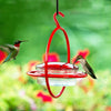 Mosaic Birds Hummble Bold Hummingbird Feeder