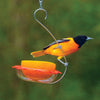 BO's Marmalade Hanging Oriole Feeder