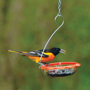 BO's Marmalade Hanging Oriole Feeder