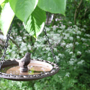 Cast Iron Hanging Bird Bath 9 inch