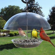 Observatory Dome Bird Feeder