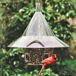 Mandarin Squirrel Proof Bird Feeder - Momma's Home Store