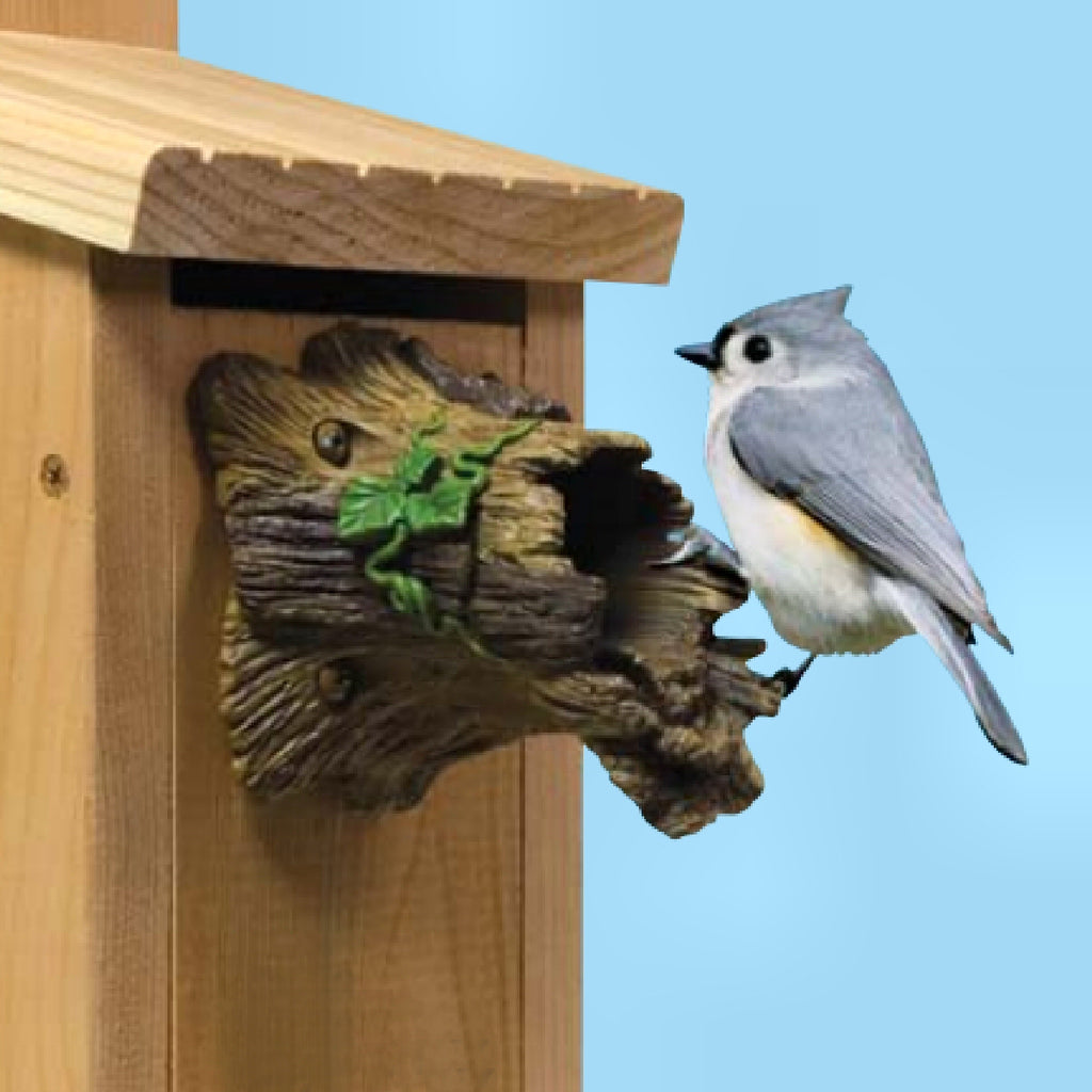 Natural Bird Guardian Bird House Protector - Momma's Home Store