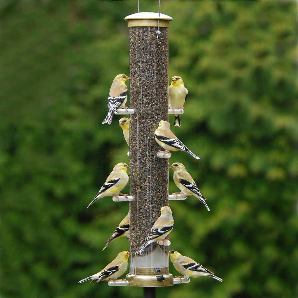 Quick Clean Nyjer Bird Feeder - 20" Antique Brass - Momma's Home Store