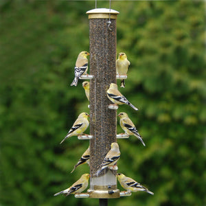 Quick Clean Nyjer Bird Feeder - 20" Antique Brass - Momma's Home Store