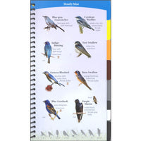 Birds of the Southeast Quick Guide
