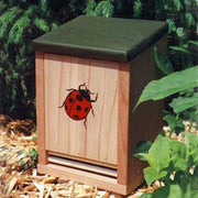 Ladybug Redwood Box House 10 inch