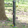 Classic Sunflower/Mixed Seed Feeder 30 inch