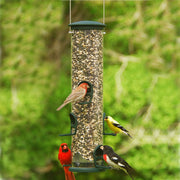 Quick Clean Big Tube Bird Feeder - Spruce