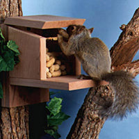 Cedar Lunch Box Squirrel Feeder
