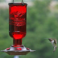 Elixir Glass Hummingbird Feeder
