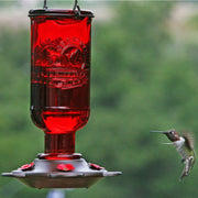 Elixir Glass Hummingbird Feeder