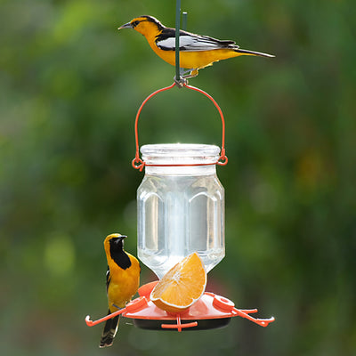 Top Fill Glass Oriole Feeder