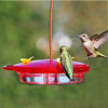 3 in 1 Hummingbird Feeder 6 oz