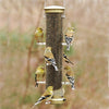 Quick Clean Nyjer Bird Feeder 16" - Antique Brass - Momma's Home Store
