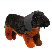 Buri Bristle Dog Dachshund 16 inch