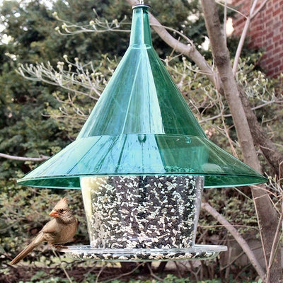 Sky Cafe Squirrel Proof Bird Feeder - Green - Momma's Home Store