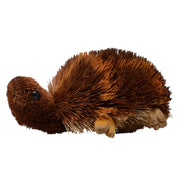 Buri Bristle Turtle 6 inch