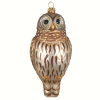 Barred Owl Glass Ornament