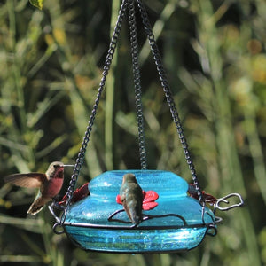 Mason Jar Hummingbird Feeder Blue