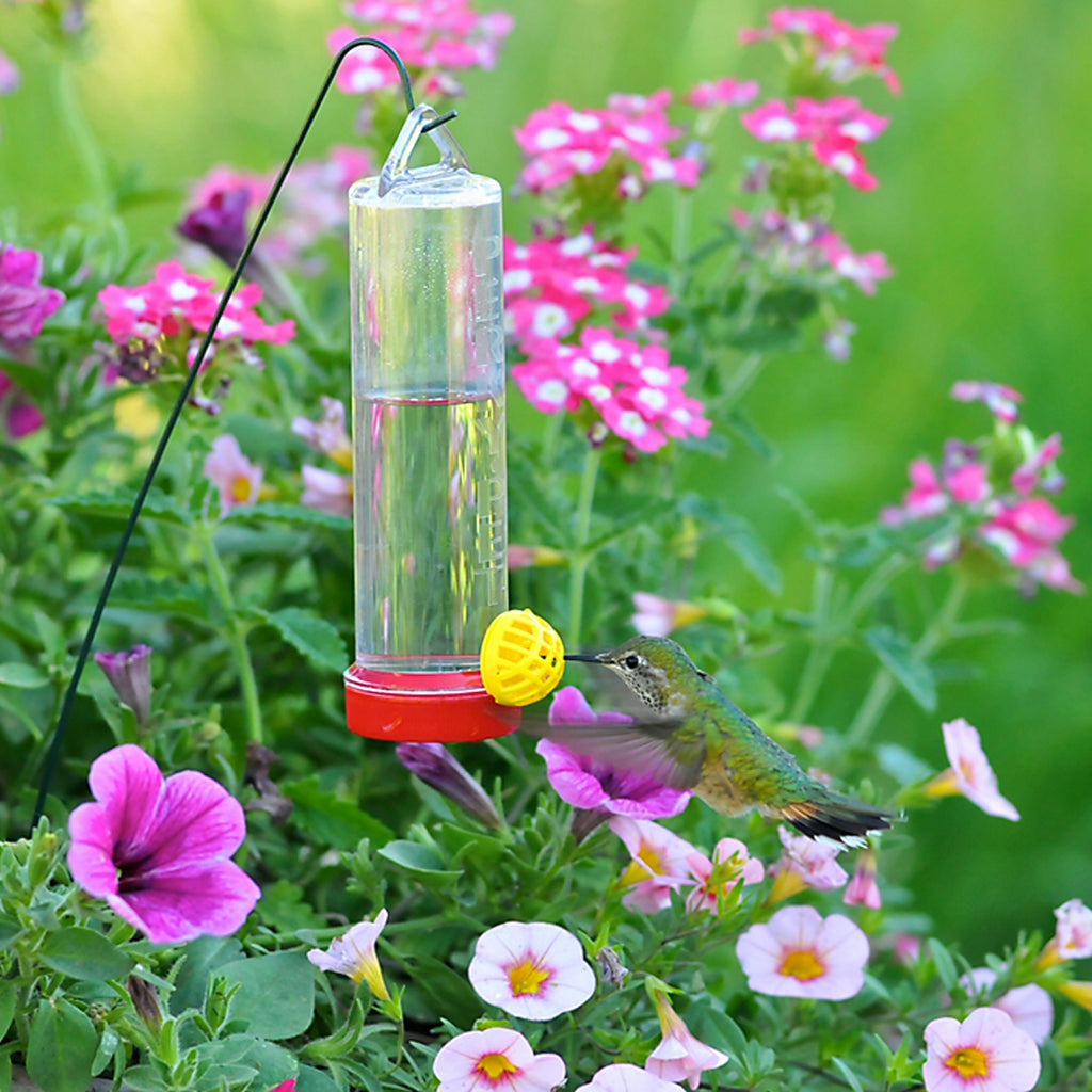 Planter Box Hummingbird Feeder