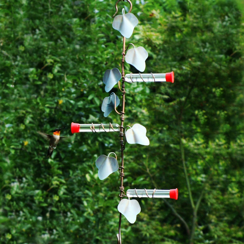 hanging planter hummingbird feeder Copper Ivy Plant Hanger Hummingbird Feeder